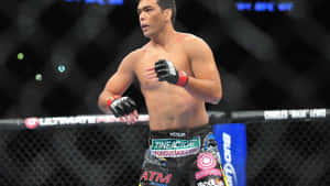 混合武術家在UFC八角籠內穿著品牌短褲和手套。