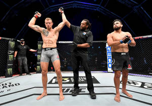 UFC拳手在八角籠中贏得比賽，裁判舉起他的手。