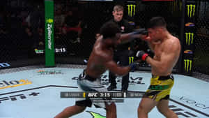 兩名MMA拳手在UFC八角籠中於次中量級比賽中互換拳擊。 — 拳擊 壁紙