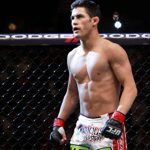 一位赤裸上身的MMA拳手穿著UFC裝備，身處八角籠內。 — 搏擊會 GIF 壁紙
