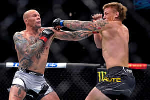 兩名男性MMA拳手在八角籠內比賽中互相出拳。