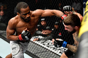兩名戴著UFC手套的男性拳手在八角籠內互相出拳。 — 運動 壁紙