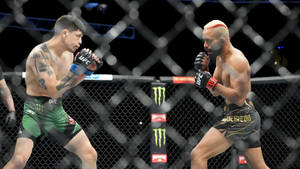 兩名男性MMA拳手在八角籠內擺出戰鬥姿勢。
