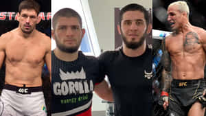 四名男性MMA拳手身穿戰鬥裝備在籠內擺姿勢。