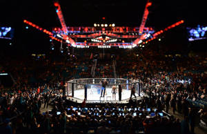 兩名拳手在紅色燈光下，身處擠滿觀眾的競技場MMA八角籠中。
