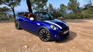 藍色MINI Cooper開篷車停泊在靠近松樹的泥路上，可欣賞海洋景觀。 — 酷車 壁紙