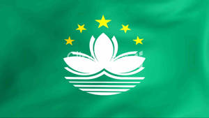 澳門旗幟，綠色背景上有白色蓮花和五顆黃色星星。