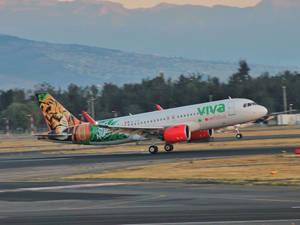 黃昏時分跑道上帶老虎設計的Viva Aerobus飛機