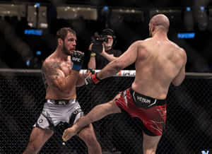 兩名身穿MMA裝備的男性拳手在八角籠內交換高踢和阻擋。