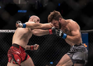 兩名戴著MMA手套的男性拳手在八角籠內互相出拳。