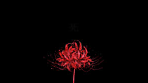 紅色彼岸花配死亡漢字，黑色背景 — 紅色 壁紙