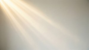 斜向的金色陽光在純米白色牆上投下柔和的陰影