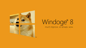 模仿Windows 8的標誌，包含柴犬和文字Windoge 8 much improve so amaze wow。