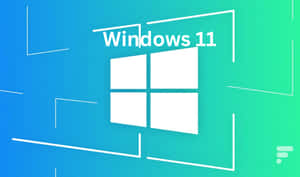 Windows 11 背景