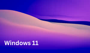 Windows 11 背景