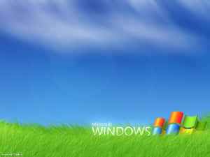 藍天下綠草地上的Windows標誌