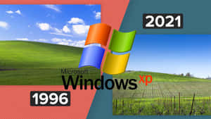 Windows XP 1996 綠色山丘壁紙與2021年葡萄園場景比較。