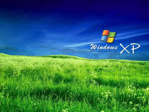Windows XP 標誌在藍天下的一片綠色田野上方