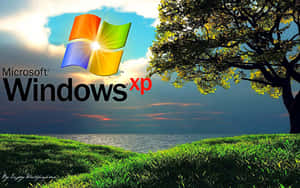 Windows XP 壁紙