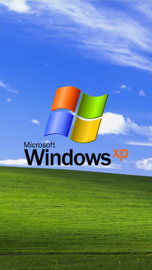 Windows XP 標誌在藍天下的一片綠色田野上