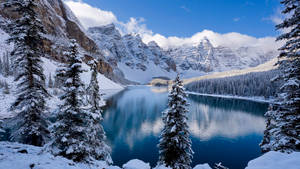 雪松環繞著平靜的藍色湖泊，在晴朗的天空下映照著雪山。 — 冬天桌面 壁紙