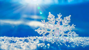 在明亮陽光下，藍天背景的雪地上的一片細節雪花。 — 冬天桌面 壁紙