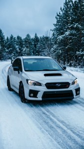 白色Subaru WRX STI在冬季森林中的雪路上行駛