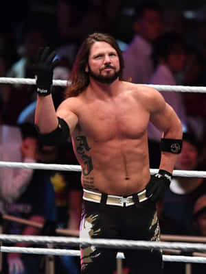 摔角手在場內向粉絲揮手。 — WWE GIF 壁紙
