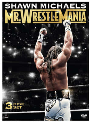 摔角手 Shawn Michaels 在擂台上高舉雙臂慶祝勝利。