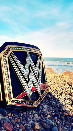WWE世界重量級冠軍腰帶放在岩石海灘上，背景有海洋和天空。