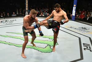 兩名男性MMA拳手在八角籠內的UFC比賽中行動。