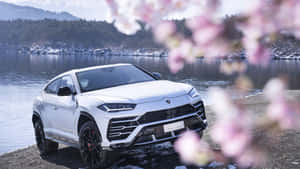 白色林寶堅尼 Urus 停泊在雪湖旁，前景有櫻花。 — 蘭博基尼 壁紙