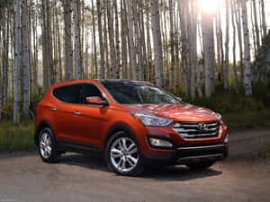 橙色Hyundai Santa Fe SUV停泊在白楊樹林中，夕陽西下 — 4:3 壁紙