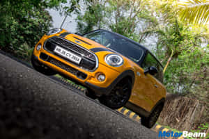 橙色MINI Cooper S在熱帶道路上行駛，兩旁有綠樹。 — Surface Laptop 壁紙