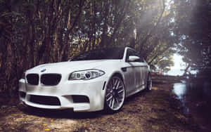 白色BMW M5跑車停泊在日落時分的森林小徑上。 — MacBook Air M1 壁紙