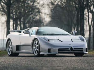 銀色Bugatti EB110跑車停泊在碎石路上，背景有光禿禿的樹木。 — 布加迪 壁紙