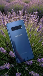 藍色Samsung手機置於紫色薰衣草田