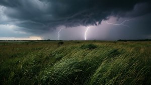 雷暴期間，閃電劃過草地。