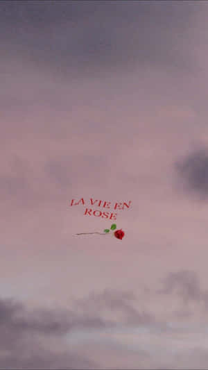 一朵帶綠葉和文字 la vie en rose 的紅玫瑰在粉紅和灰色的天空中飄浮。 — 夜晚 GIF 壁紙