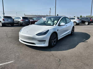 白色Tesla Model 3停泊在陽光明媚的停車場，旁邊有其他汽車。 — Tesla GIF 壁紙