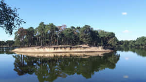 一個有裸露土壤的森林島嶼在晴朗的藍天下倒映在平靜的水面上。 — 湖 壁紙