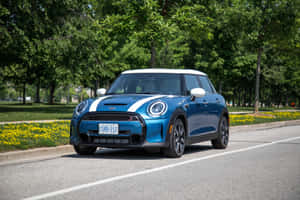 藍色MINI Cooper白色車頂，行駛在陽光普照、兩旁種滿樹木和黃色花朵的道路上。 — Surface Laptop 壁紙