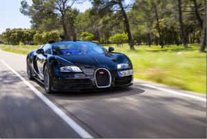 黑色Bugatti Veyron在明亮的陽光下於森林道路上飛馳。 — 布加迪 壁紙