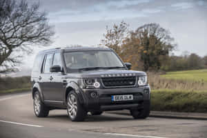 灰色Land Rover Discovery在鄉村道路上行駛，兩旁有光禿禿的樹木和秋草。 — Surface Pro 壁紙