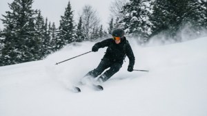 滑雪者在積雪的山坡上 carve，背景有常青樹