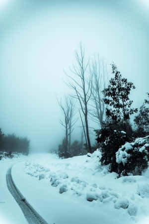 積雪覆蓋的道路蜿蜒穿過霧氣瀰漫的冬季森林，有光禿禿和常綠的樹木。 — Huawei MatePad Air (2026) 壁紙