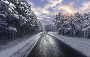 日出時分，白雪覆蓋的道路蜿蜒穿過冬季森林。 — MacBook Air M2 壁紙
