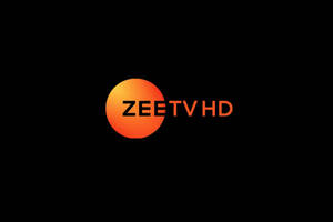 Zeetv HD 標誌，帶有橙色圓圈和黑色背景上的文字。