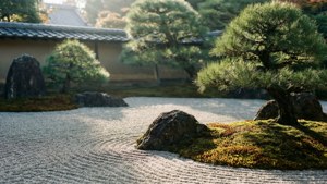 在柔和的陽光下，靠近傳統日本屋頂的耙過礫石花園，有長滿苔蘚的石頭和松樹。