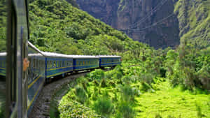 藍色火車行駛在充滿活力的綠色山峽中。